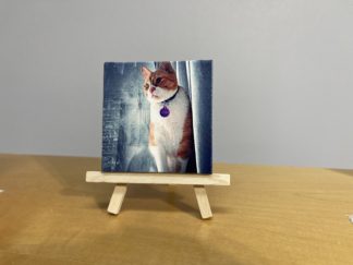 Canvas Prints 3x3